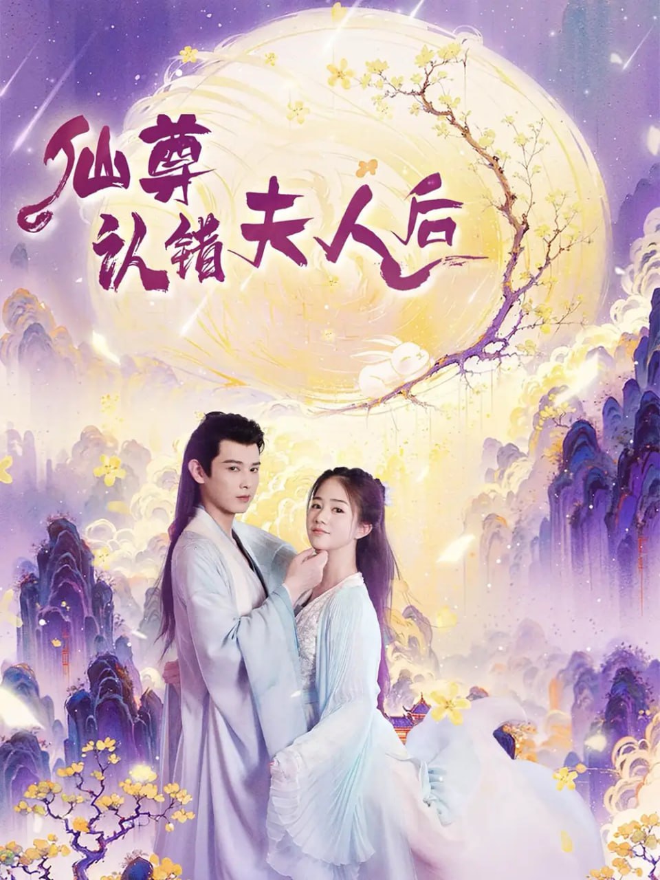 仙尊认错夫人后（64集）